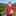Tim Vine: Sillypun Valley